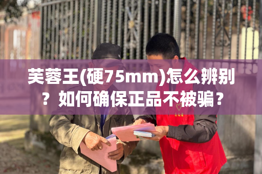 芙蓉王(硬75mm)怎么辨别？如何确保正品不被骗？
